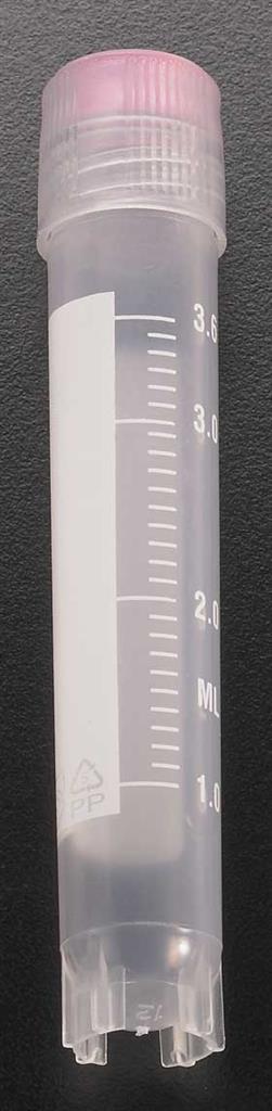 41021425_1.jpg