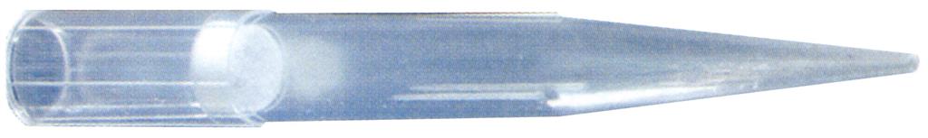 41071008_1.jpg