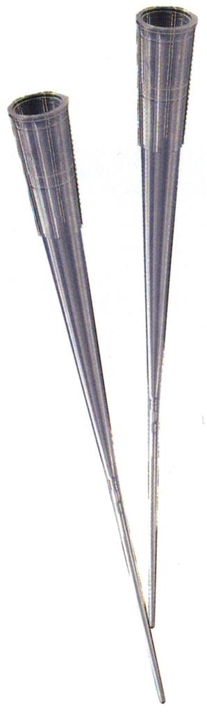 41071051_1.jpg