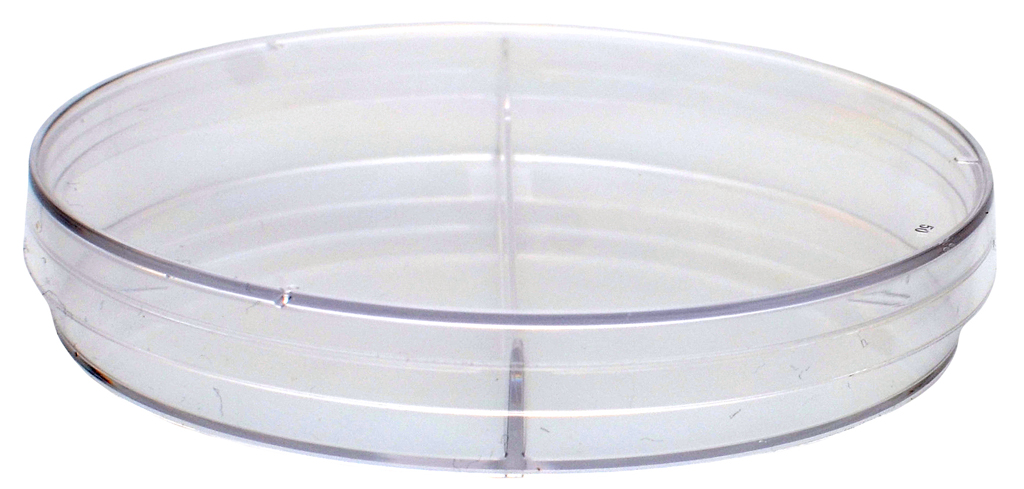 Kord™ 100 x 15 Bi-Plate Petri Dish, Stackable 41141003_2903.jpg