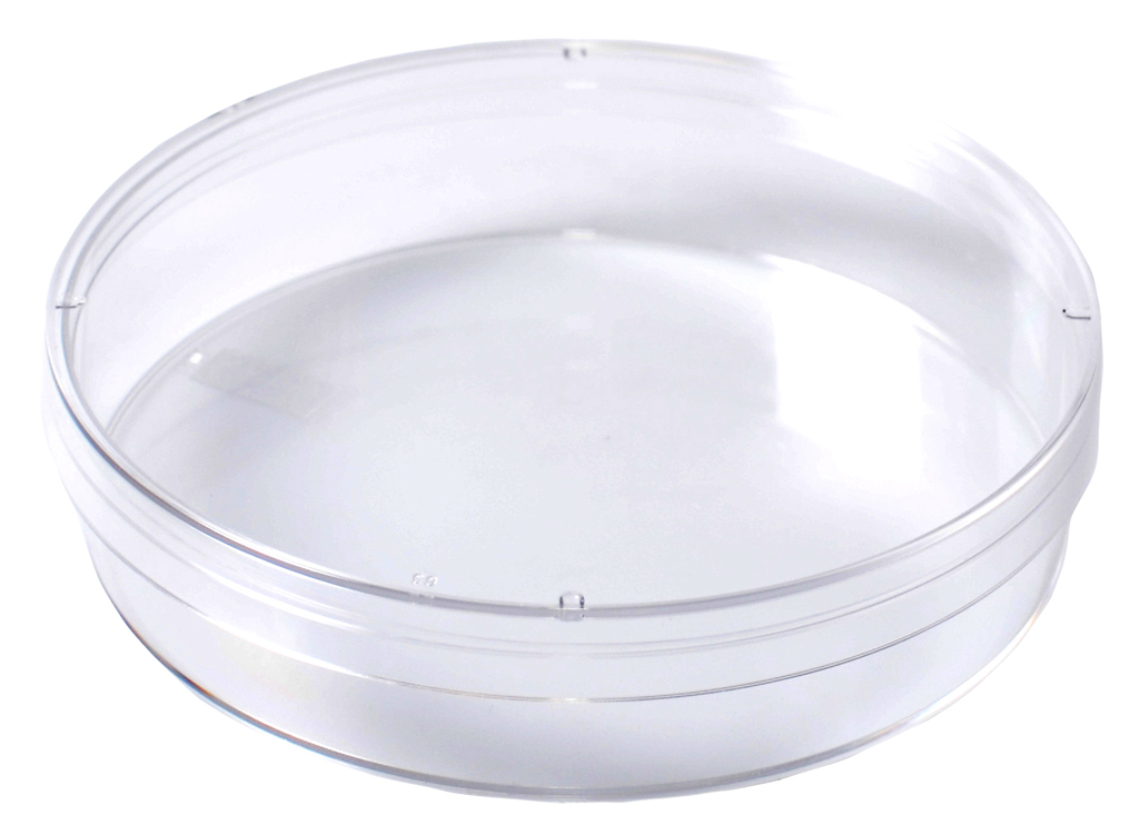 Kord™ 100 x 20 Deep Mono Petri Dish, Slippable  41141005_2905_1.jpg