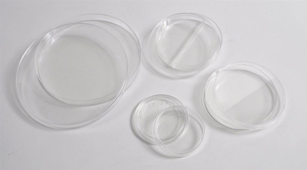 41232346_K1006 series Petri Dishes PS.jpg