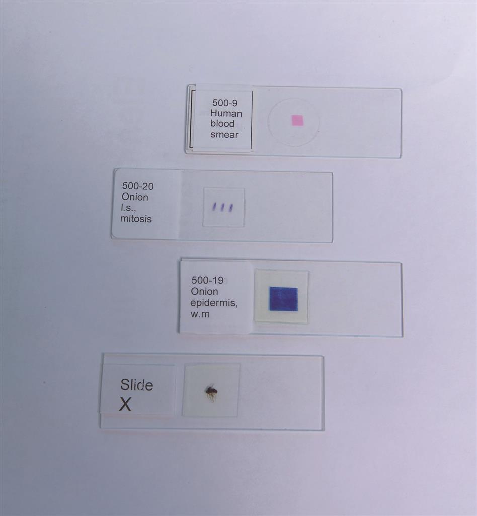 41233553_1.jpg