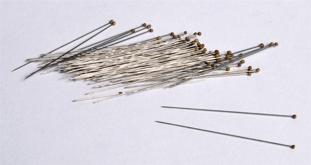 41233670_IPIN00 Insect Pins series.jpg