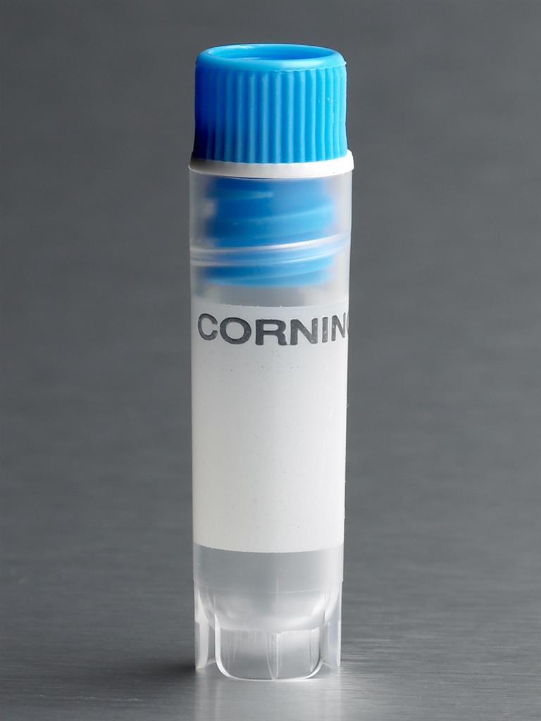 41241340_Cryovial-blue-430418_A.jpg