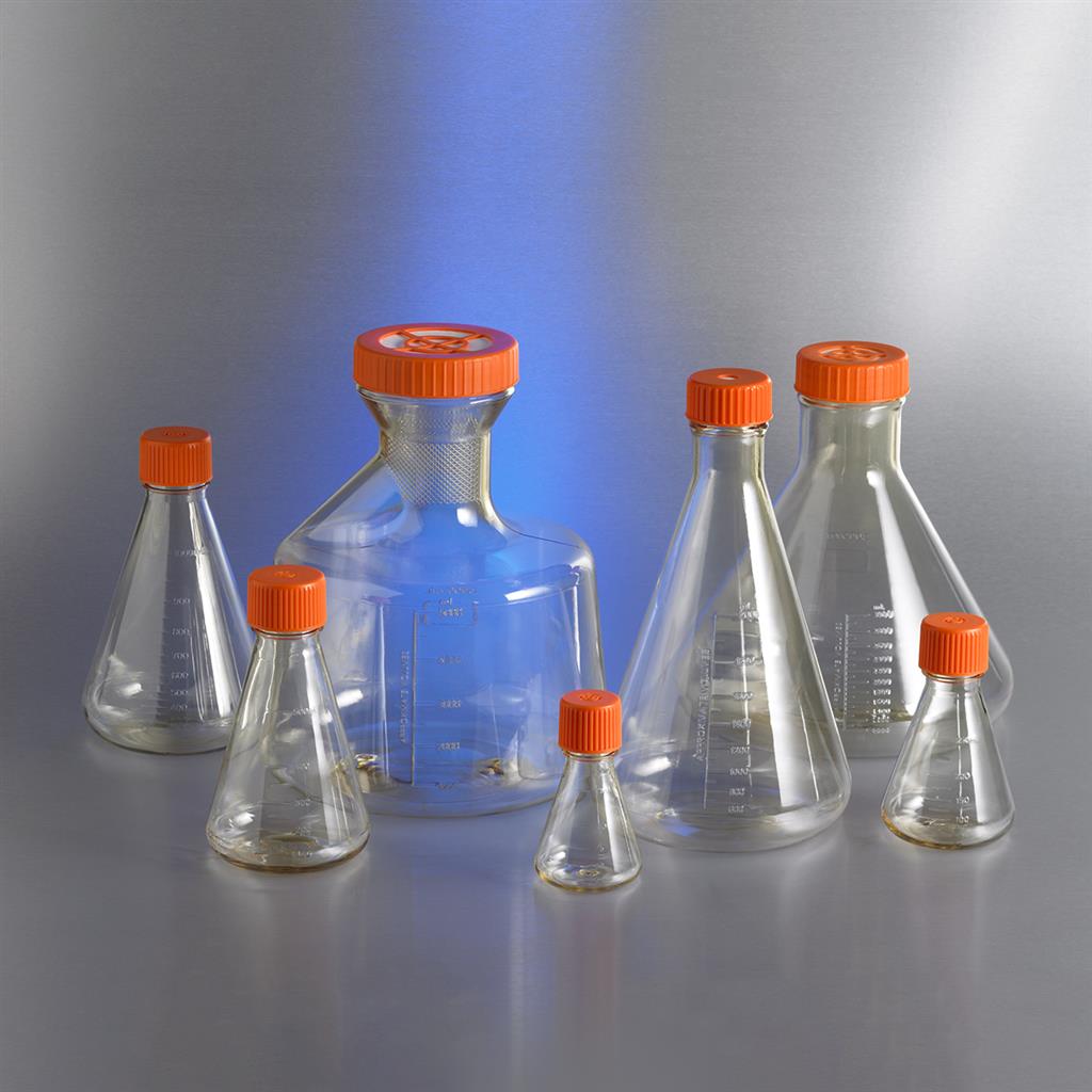 41241346_Erlenmeyer-Flasks-PFP_A.jpg