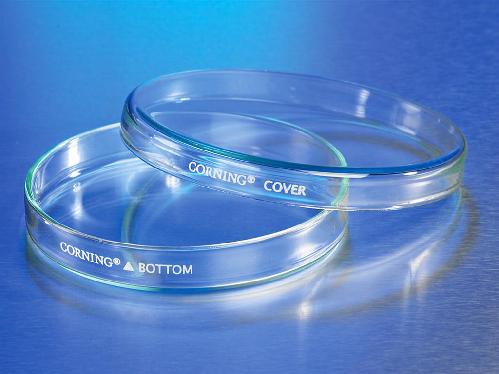 41243969_70165-petri-dish_A.jpg