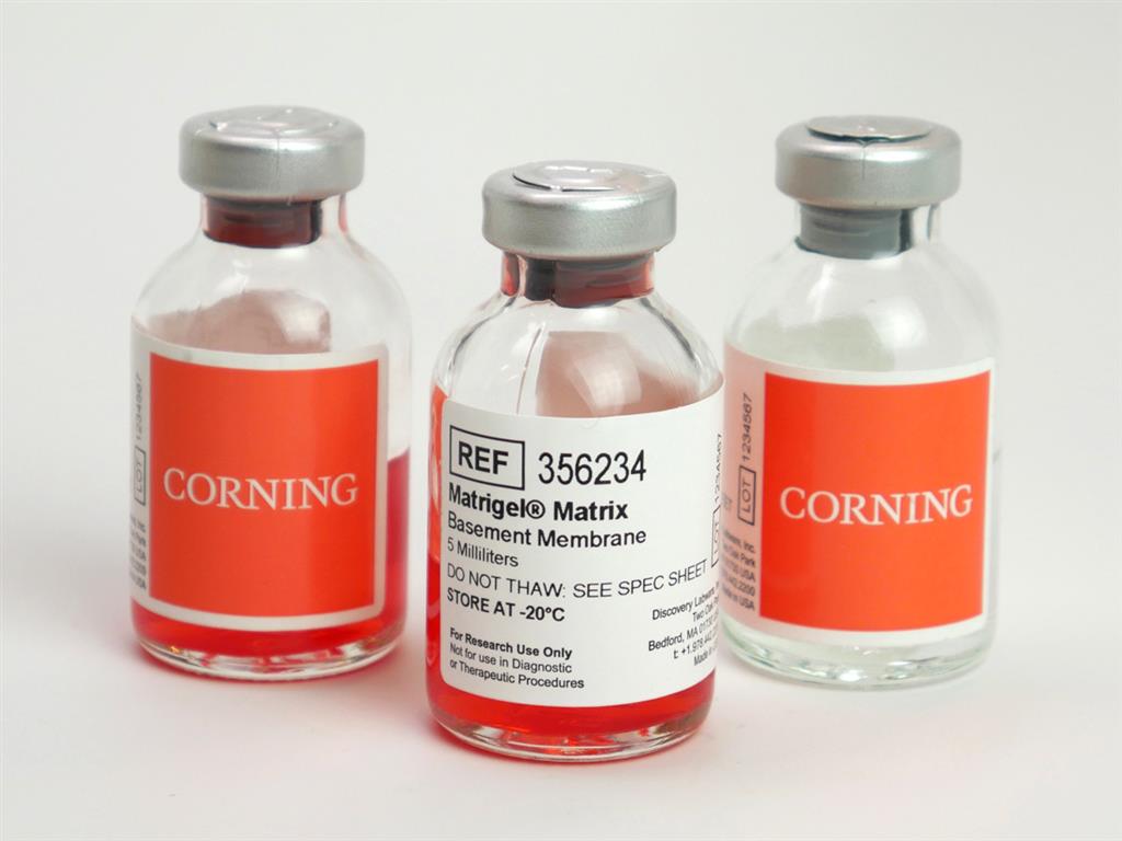 41245074_corningMatrigelMatrix.jpg