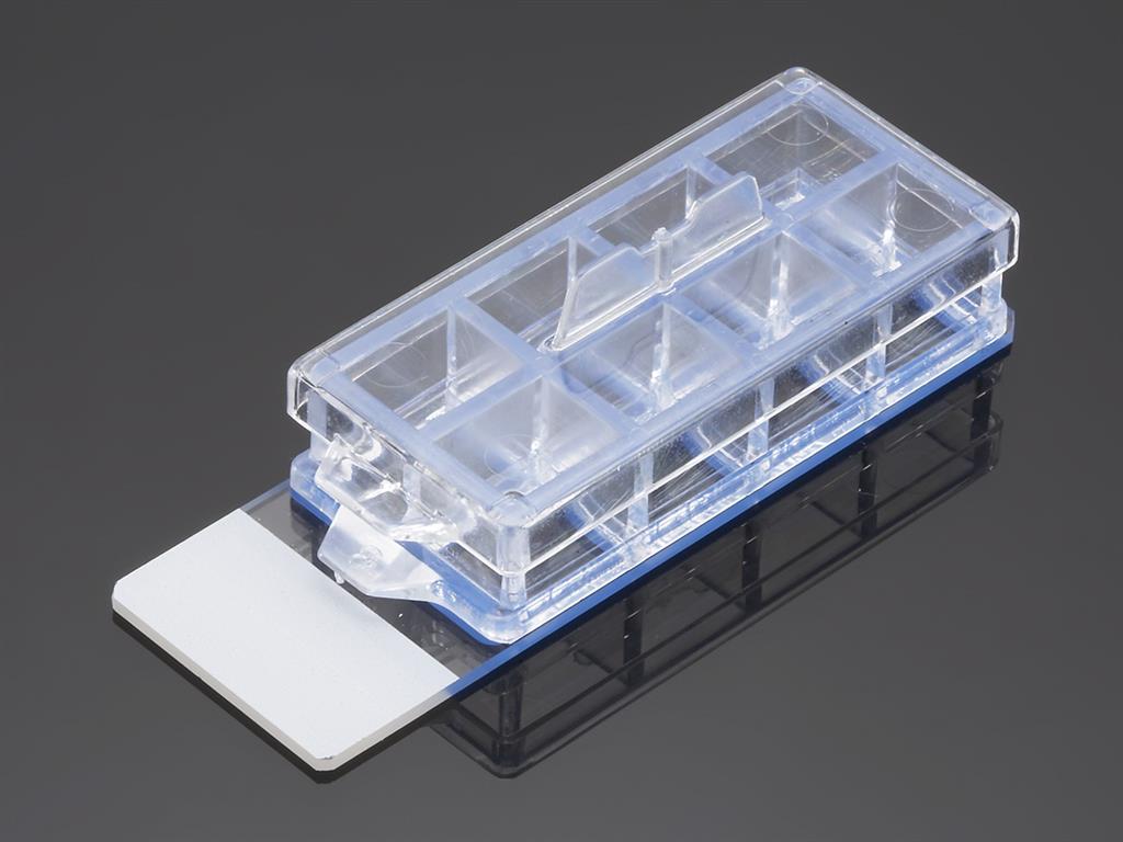 Corning® BioCoat™ Poly-D-Lysine/Laminin 8 Well Cul 41245253_354688_A.jpg