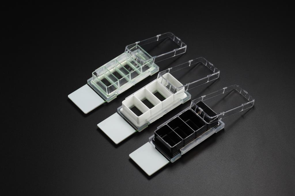 48051107_Nest Cell Culture Chamber Slide (1).jpg