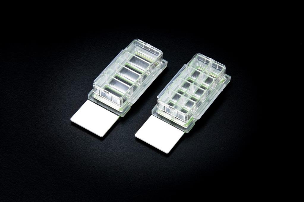 48051110_Nest Cell Culture Chamber Slide (2).jpg