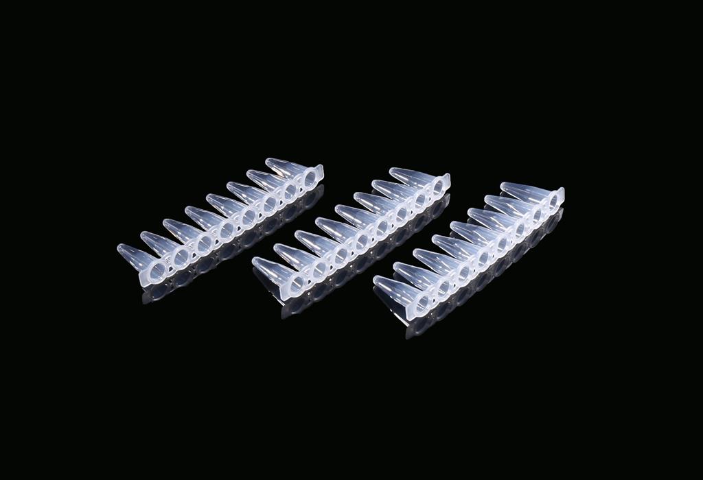 48051217_0.2ml PCR 8-strip Tubes Clear (2).JPG