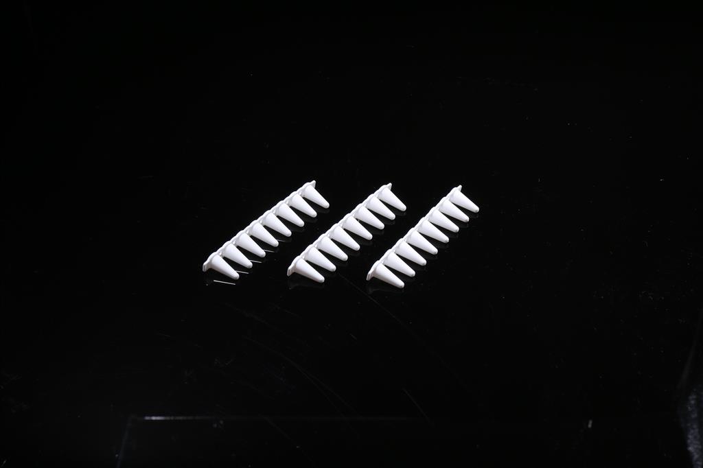 48051220_0.1ml PCR 8-strip Tubes White (1).JPG