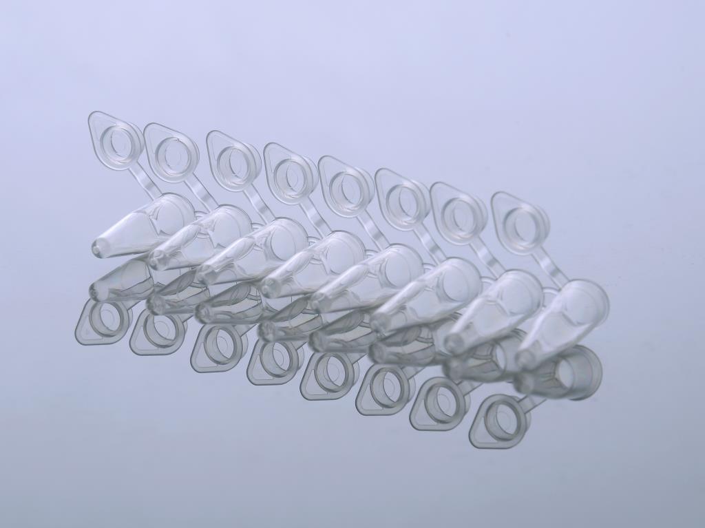 48051223_404001 (2).JPG