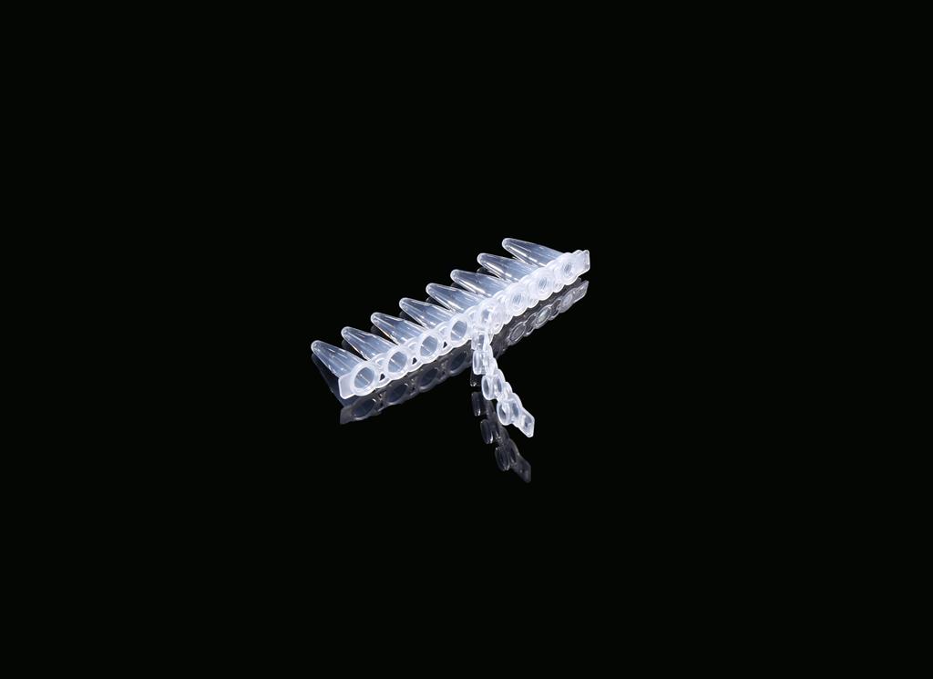 48051225_Flat 8-strip Caps (2).JPG