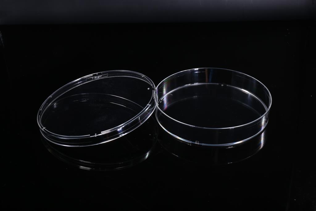 48051375_100mm Cell Culture Dish-1.JPG