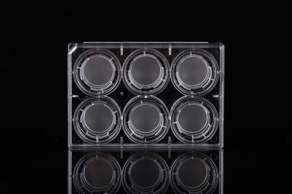 48051398_6 Inserts+6 Well Plate-1.JPG