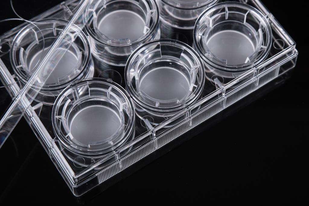 48051401_6 Inserts+6 Well Plate-2.JPG