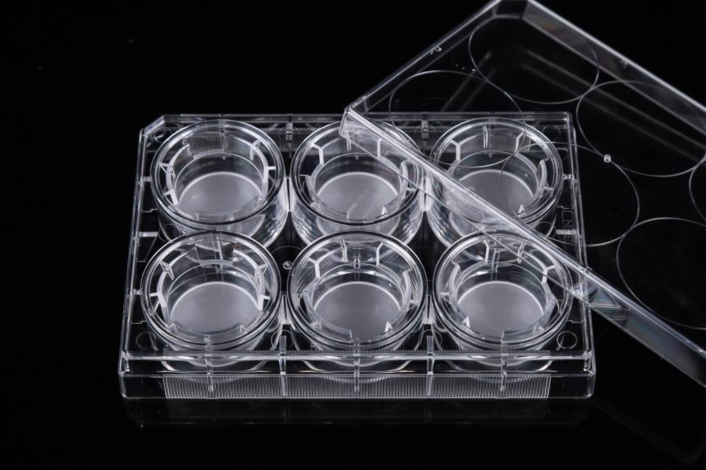 48051402_6 Inserts+6 Well Plate-3.JPG