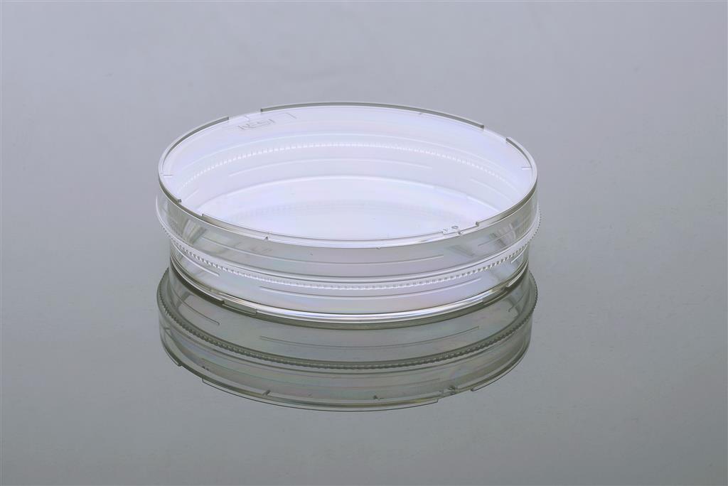 48051437_100mm Petri Dish (1).JPG