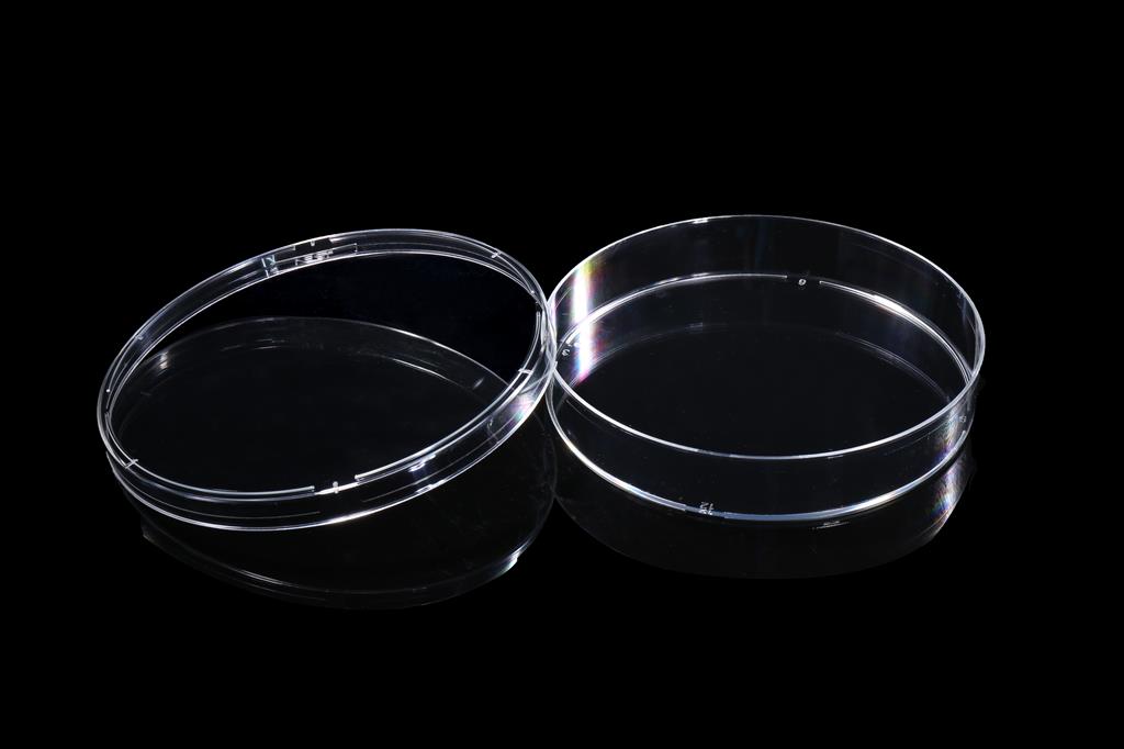 48051437_100mm Petri Dish (2).JPG