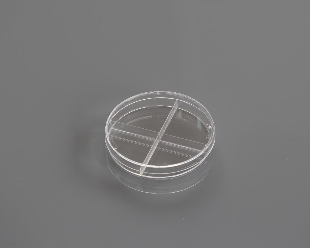 48051441_Petri Dish+X-Plate.JPG