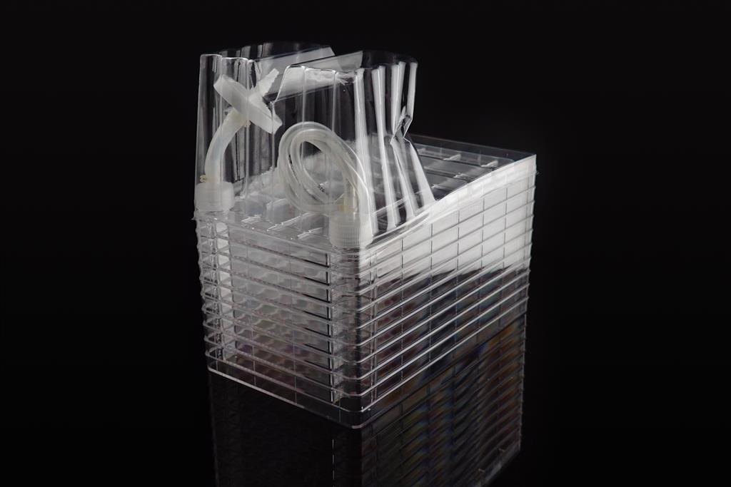 48051456_Biofactory 10 chamber with tube (2).JPG