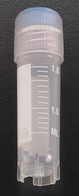 41021043_1.jpg