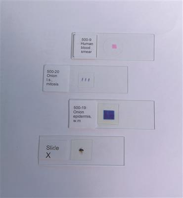 41231989_1.jpg
