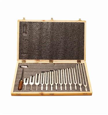 41233313_TFBOX13 Tuning Fork Boxes Set of 13.jpg