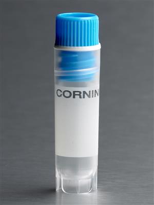 41241340_Cryovial-blue-430418_A.jpg