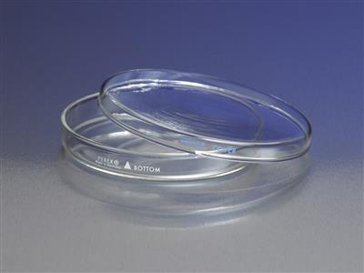 41242636_pyrexDishCulturePetriCoverOnly_A.jpg