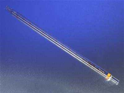 41243818_7070_A.jpg