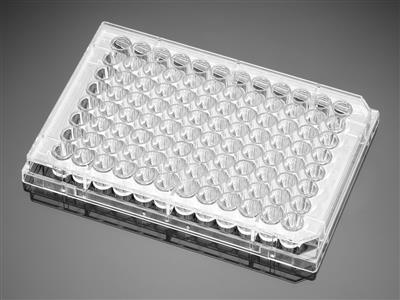 41245260_corningBioCoatTCellMicroplates_A.jpg