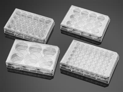 41245328_corningBioCoatCollagenICoatedPlates_A.jpg