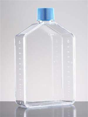 41245357_corningBioCoatPolyDLysineFlasks_A.jpg