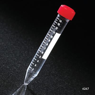 41351898_6267.jpg