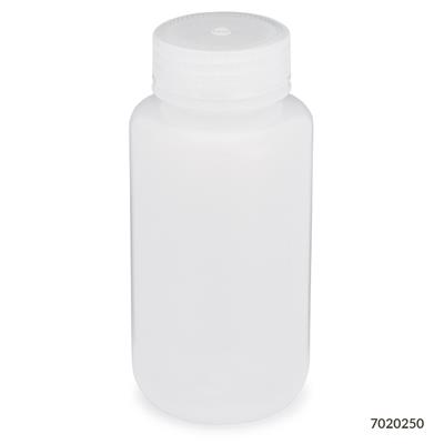 41356077_7020250.jpg