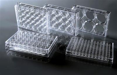 48051004_biotcplates.jpg