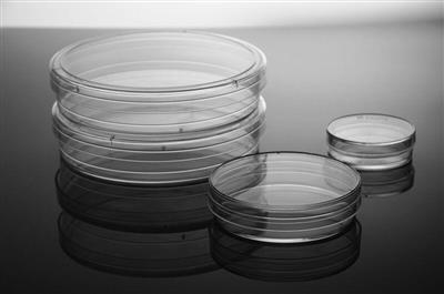 48051012_biocelldish.jpg