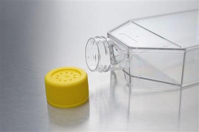 48051021_biotcflask2.jpg