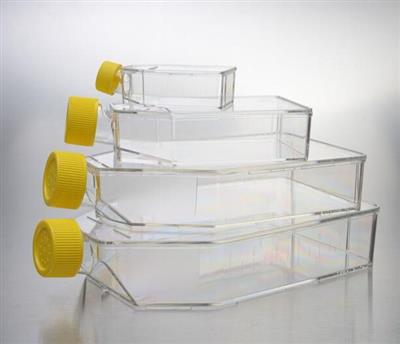 48051024_biotcflask1.jpg