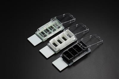 48051110_Nest Cell Culture Chamber Slide (1).jpg
