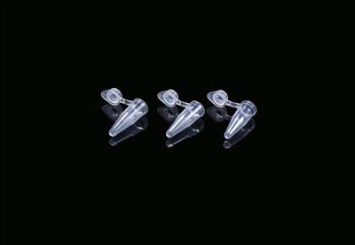 48051214_401001 (1).JPG