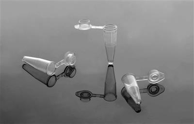 48051214_401001 (3).jpg