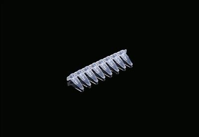 48051217_0.2ml PCR 8-strip Tubes Clear (1).JPG