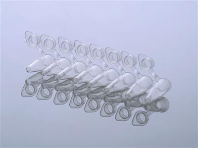 48051223_404001 (2).JPG