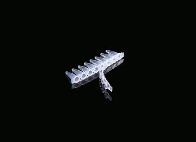 48051225_Flat 8-strip Caps (2).JPG