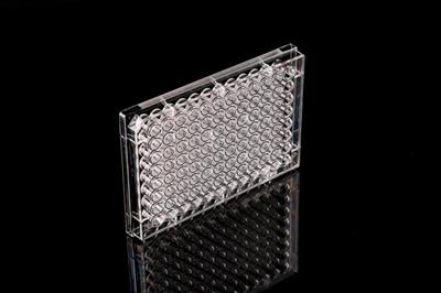 48051362_96 Well Cell Culture Plate-Flat-2.JPG