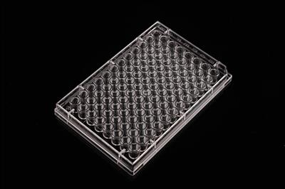 48051362_96 Well Cell Culture Plate-Flat-3.JPG